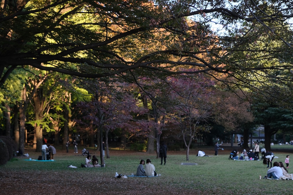 Yoyogi Park, Tokyo